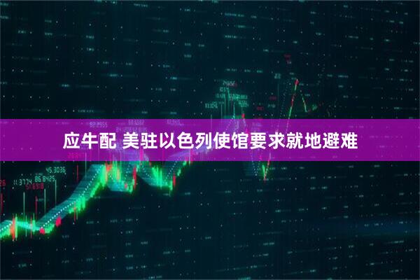 应牛配 美驻以色列使馆要求就地避难