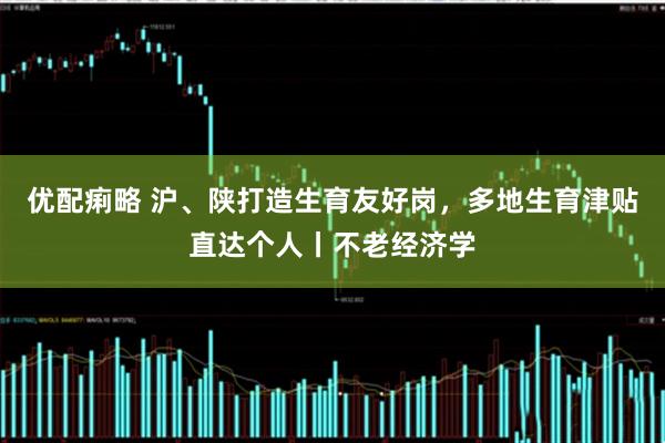 优配痢略 沪、陕打造生育友好岗，多地生育津贴直达个人丨不老经济学
